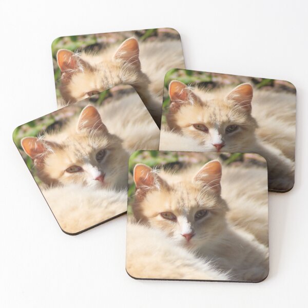 Item preview,  Sunbathing Kitty's designed and sold by Carla Jensen.