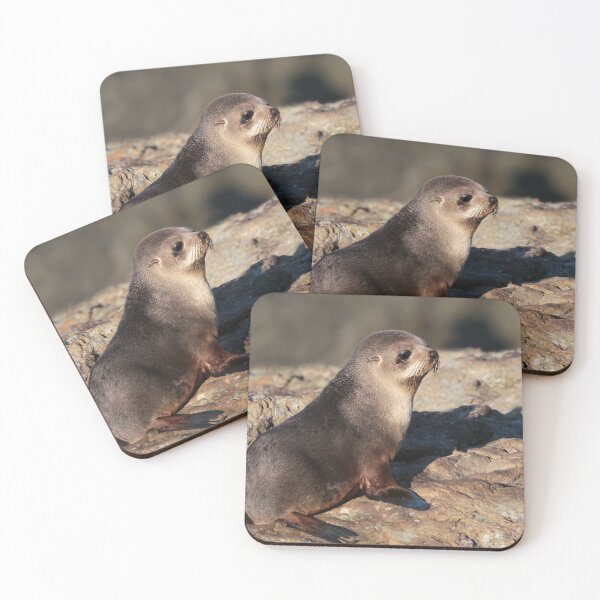 Item preview, Young New Zealand Fur Seal designed and sold by Seesee.