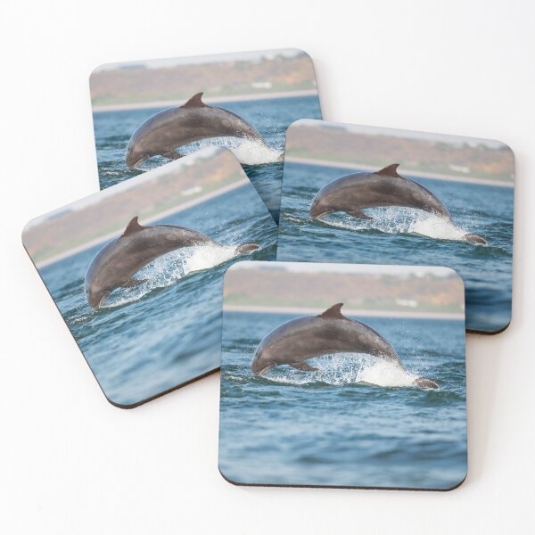 Item preview, Leaping wild bottlenose dolphin designed and sold by chanonry.