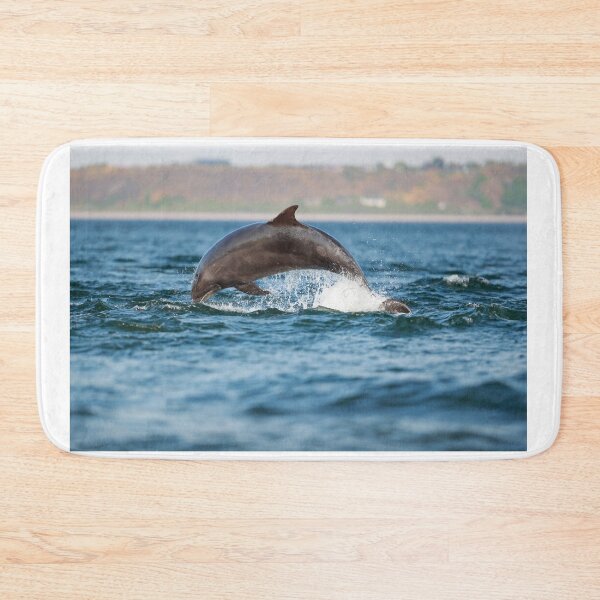 Item preview, Leaping wild bottlenose dolphin designed and sold by chanonry.