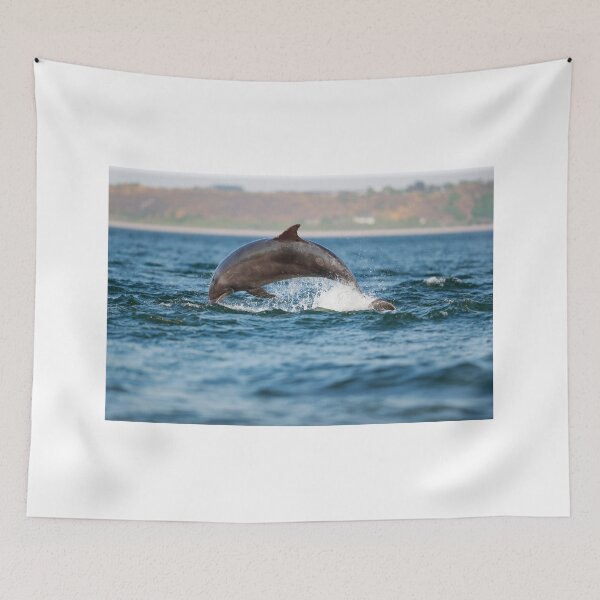 Item preview, Leaping wild bottlenose dolphin designed and sold by chanonry.