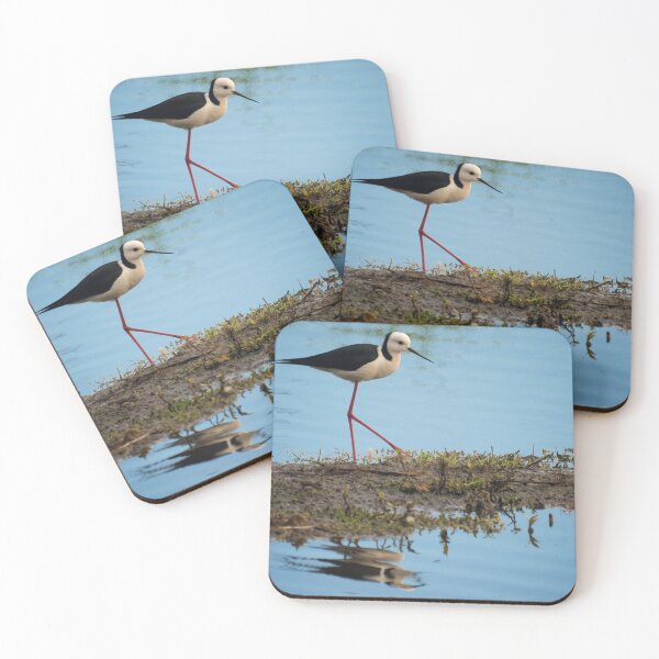 Item preview, Black Winged Stilt  designed and sold by D-GaP.