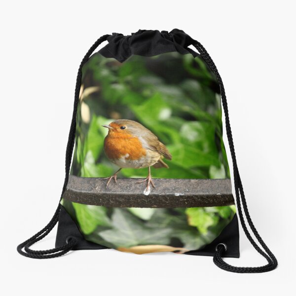 British Isles 12 Drawstring Bag
