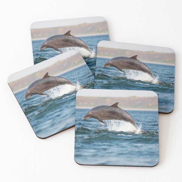 Item preview, leaping wild dolphin designed and sold by chanonry.