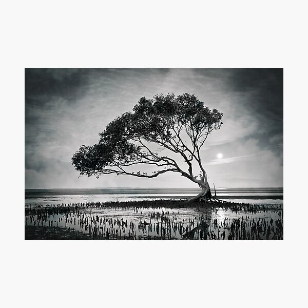 I Was Questioning and Looking Back Photographic Print