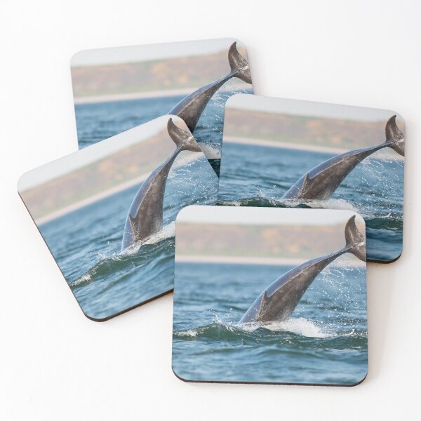 Item preview, The grand splash dolphin breaching designed and sold by chanonry.