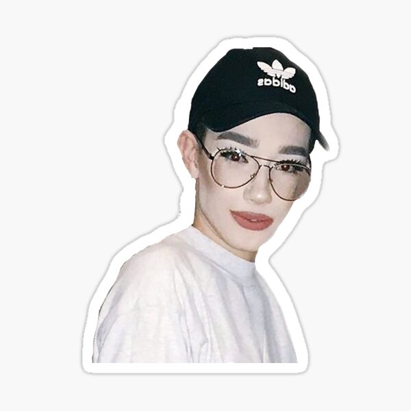 James Charles Wig Stickers Redbubble - roblox james charles decal