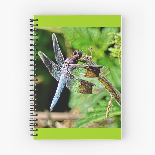 Item preview, Odonata designed and sold by Lanis Rossi.