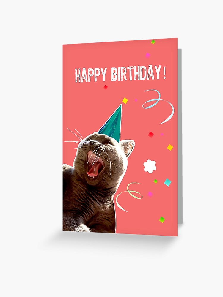 Carte De Vœux Chat D Anniversaire Par Sweetkoala Redbubble