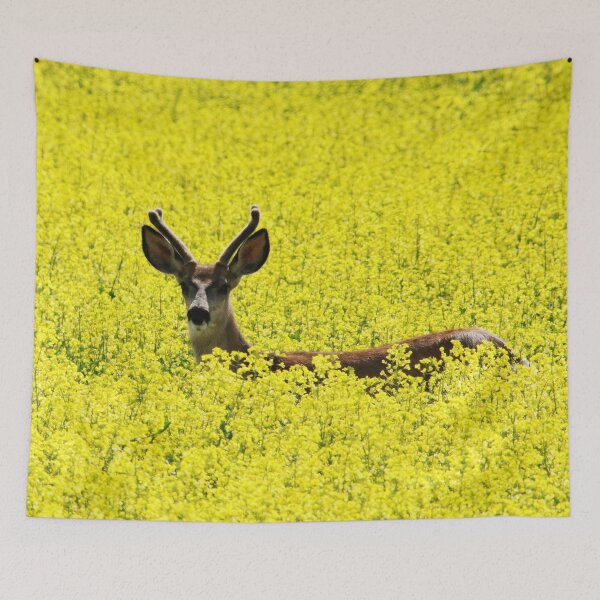 Item preview, Deer in the Canola Field designed and sold by Alyce Taylor.