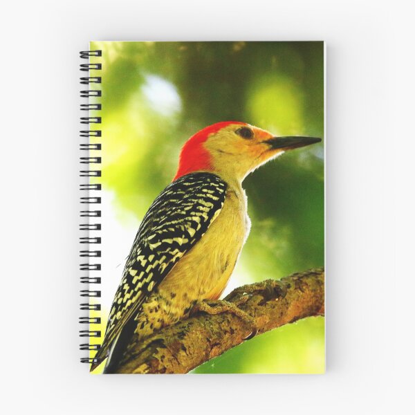Item preview, Male Red-bellied Woodpecker designed and sold by Alyce Taylor.