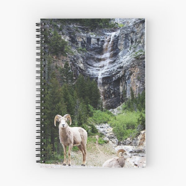 Item preview, The Perfect Backdrop designed and sold by Alyce Taylor.