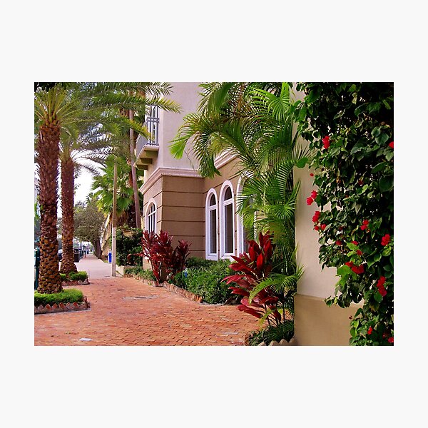 Artikelvorschau, Schöne Seitenwurzel entworfen und verkauft von FL-florida.
