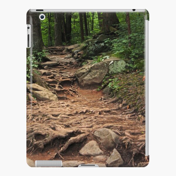 Landscape 16 iPad Snap Case