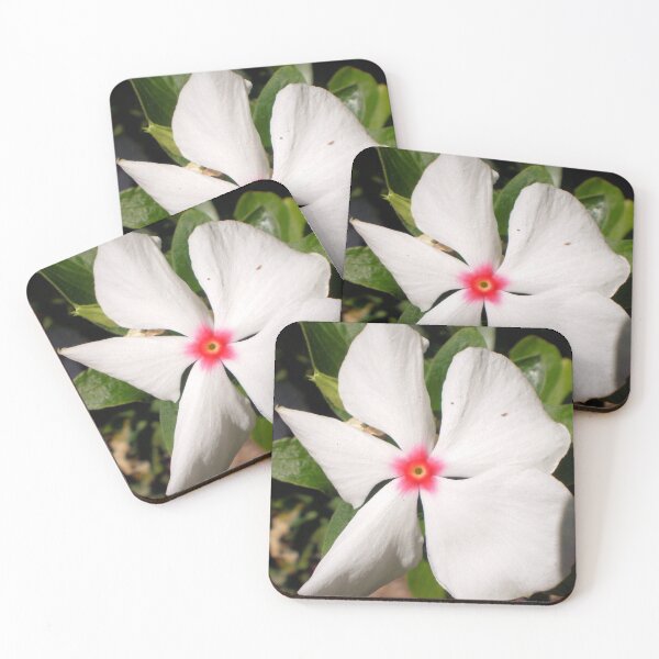 Item preview, White Flower designed and sold by William C Woods.