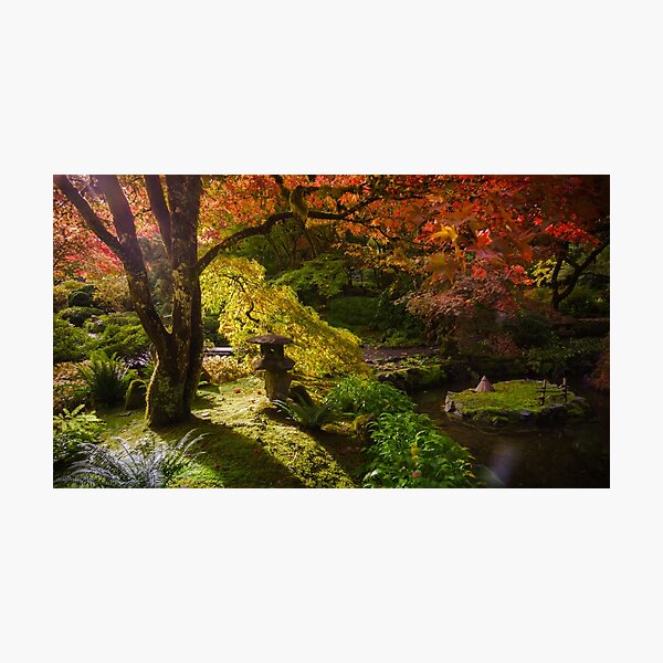 Item preview, Japanese Oasis designed and sold by Carrie Cole.