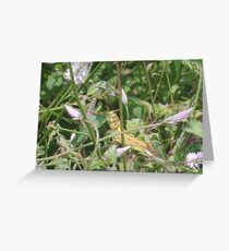 Nature - Beauty at its MAX Greeting Card