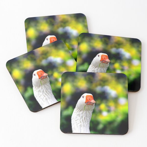 Item preview, © Domestic white goose designed and sold by GeoPipics.
