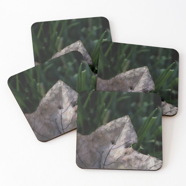 Item preview, Nature 2 designed and sold by rebeccaholbrook.