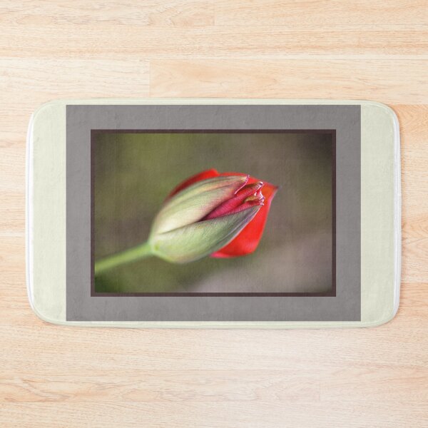 Item preview, Romance The Red Tulip Bud designed and sold by Joy Watson - Natural Light Photography .