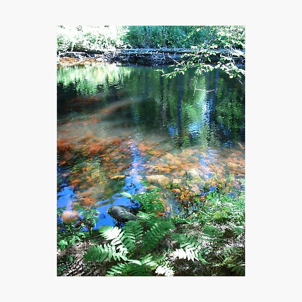 Watercolored Wind Photographic Print