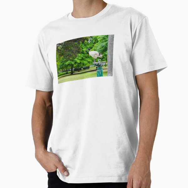 Item preview, Bin chicken of Enmore Park designed and sold by MyInnerWest.