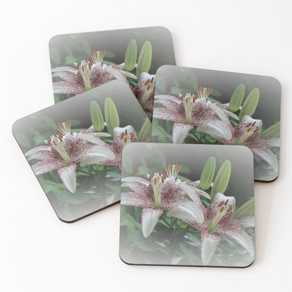 Item preview, Painted Ladies designed and sold by wiscbackroadz.