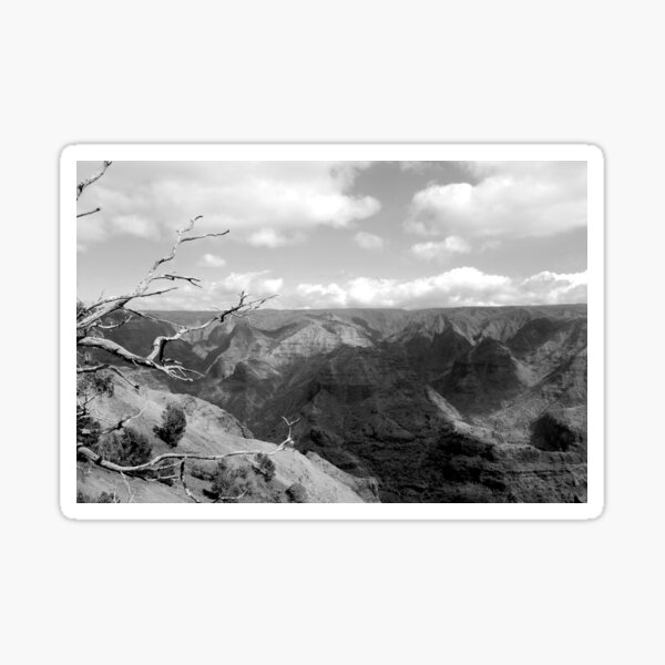 Not the Grand Canyon Sticker