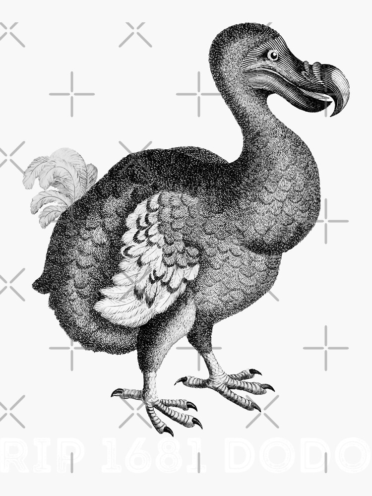 RIP Dodo 1681 Ornithologie d oiseaux animaux mignons Sticker