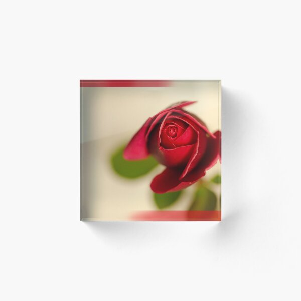 Item preview, El capullo de rosa designed and sold by Bevlyn.