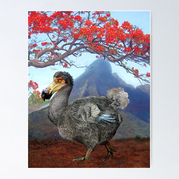 Aperçu de l'œuvre Dodo créée et vendue par Bill Brouard.