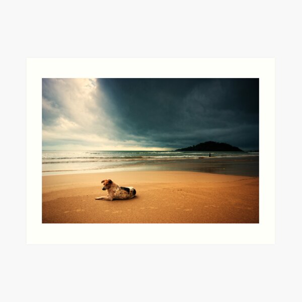 Dog day afternoon Art Print