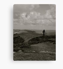 Gonna go my way? Canvas Print