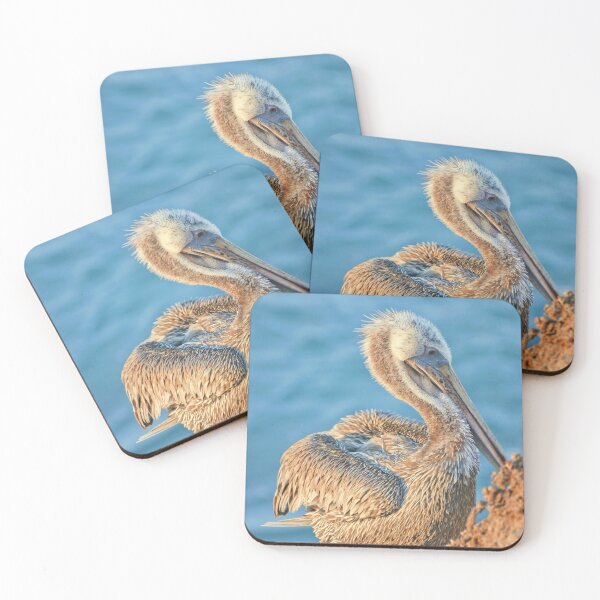 Item preview, Brown Pelican At La Jolla Cove designed and sold by K D Graves Photography.
