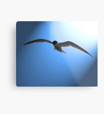 If I were a Bird Metal Print