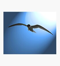 If I were a Bird Photographic Print