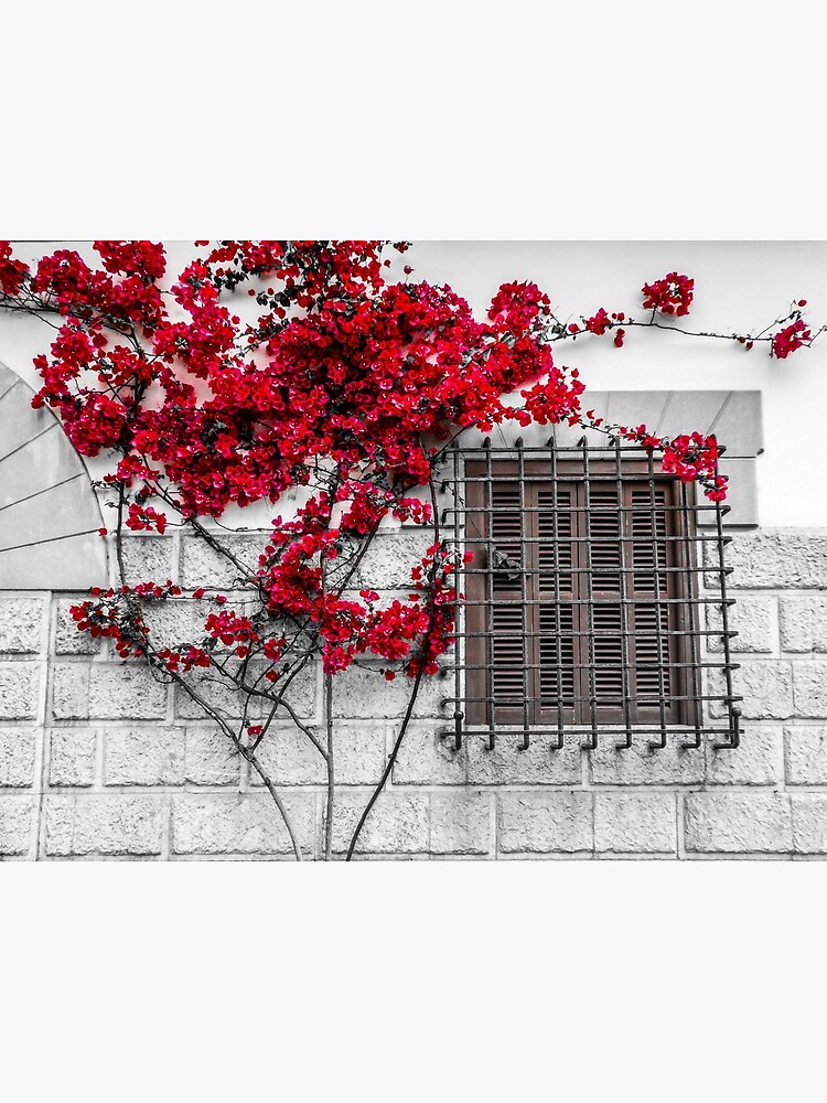Spanisches Fenster von Enagel