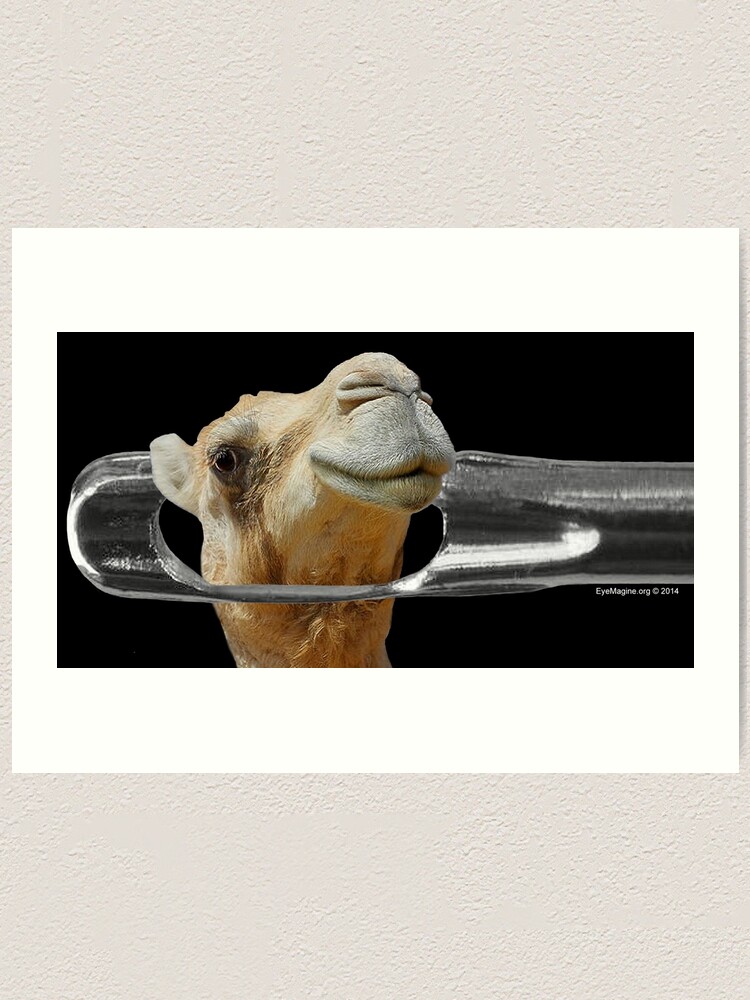 Camel Going Through The Eye Of A Needle Art Print By Eyemagined Redbubble