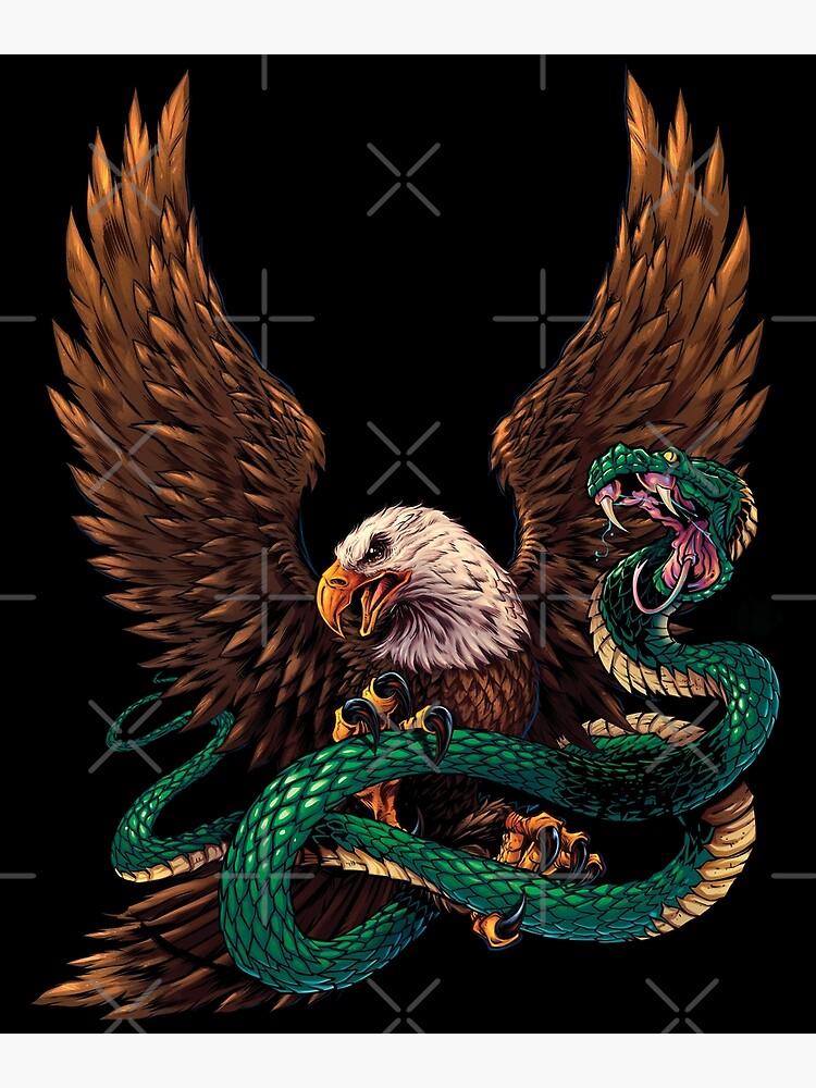 "Eagle With Captured Snake" Canvas Print by PrintedGifts Redbubble