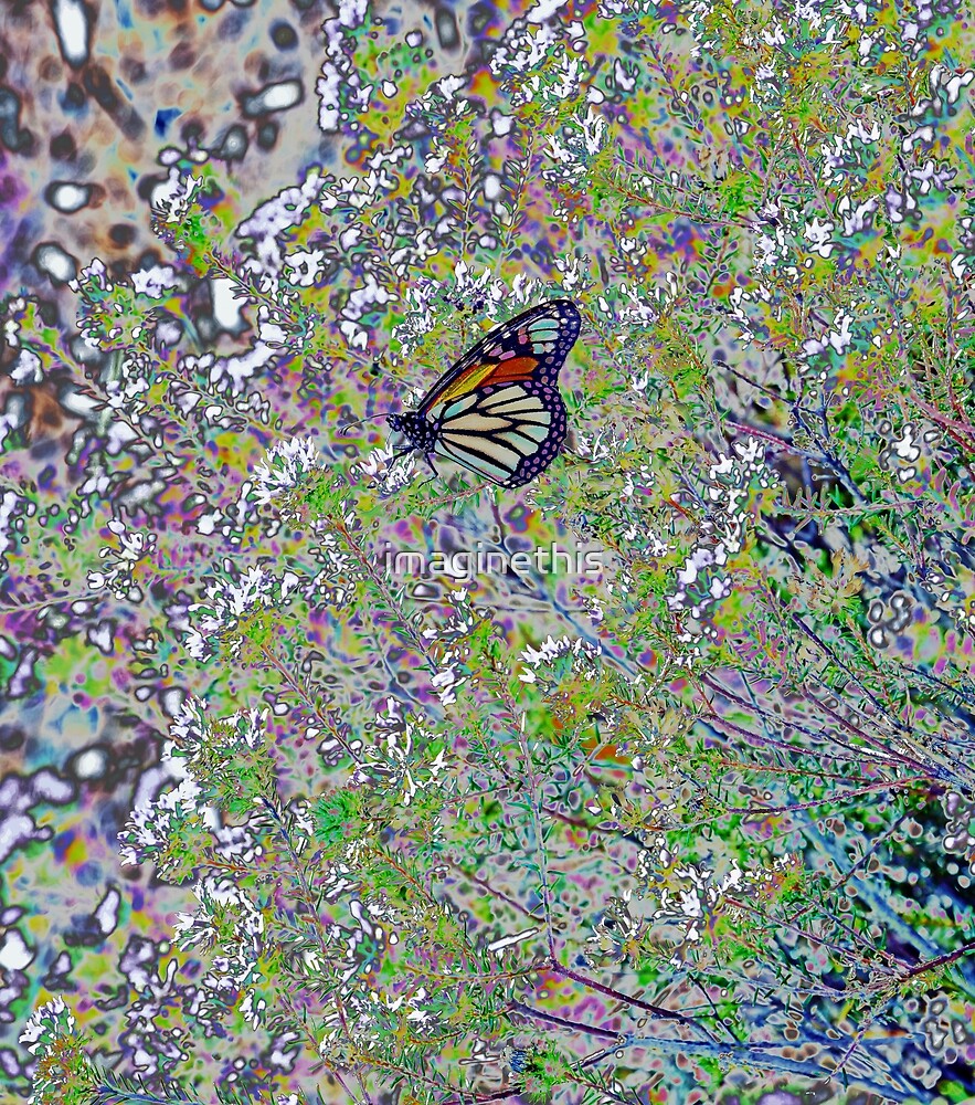 “Colourful Stained Glass Butterfly - Abstract” by imaginethis | Redbubble