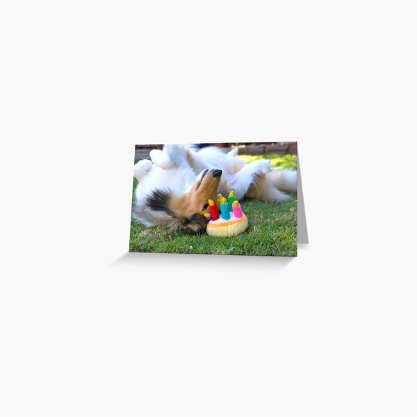 Item preview, Happy Birthday Rough Collie designed and sold by Jan  Wall.