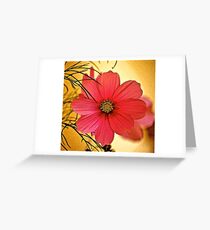Cosmea Flower Greeting Card