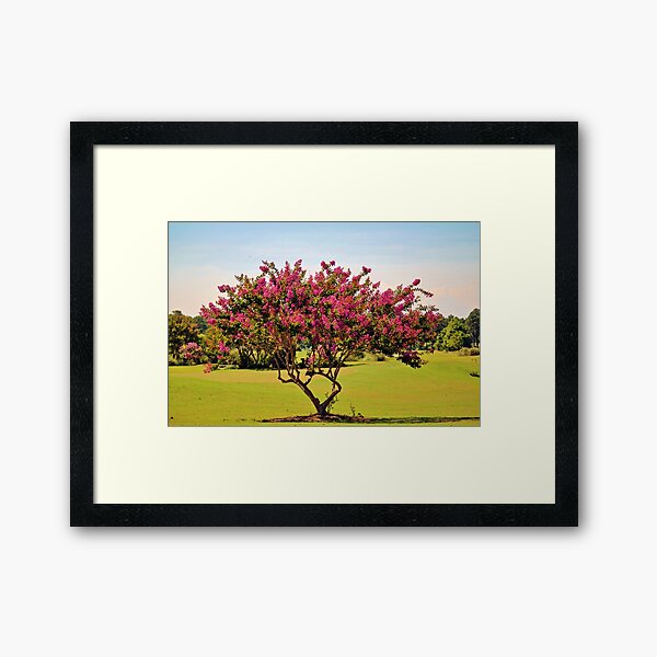 Item preview, Pink Crepe Myrtle designed and sold by Cynthia48.