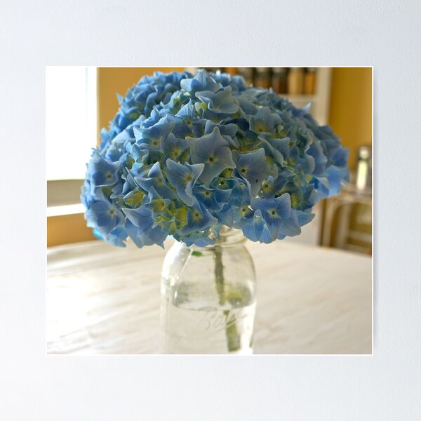 Item preview, Beautiful Summer Hydrangeas designed and sold by DuckDuckDog.