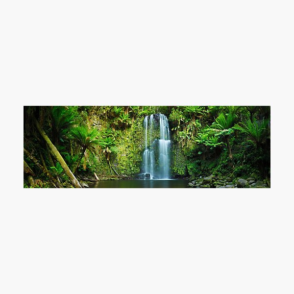 Photographic Print