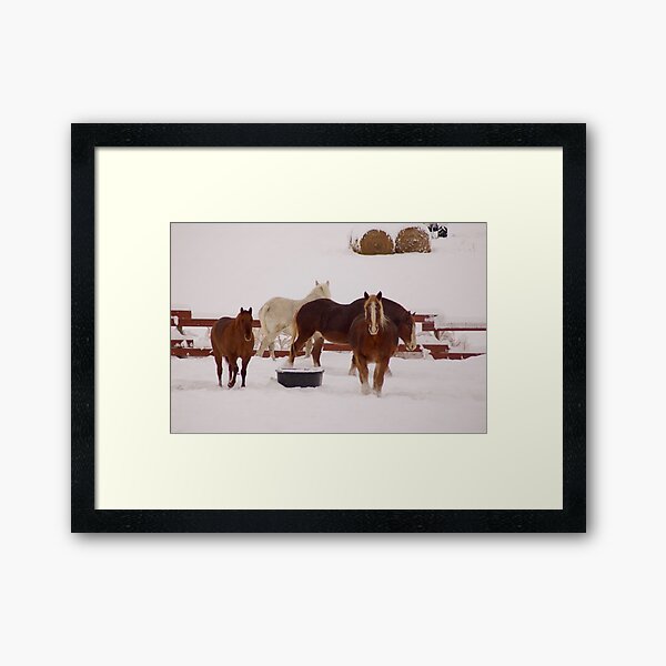 Winter Draft Framed Art Print