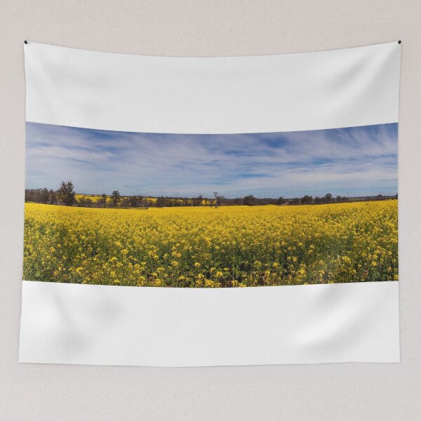 Item preview, Panorama of Canola fields, Frankland River  designed and sold by scottimage.