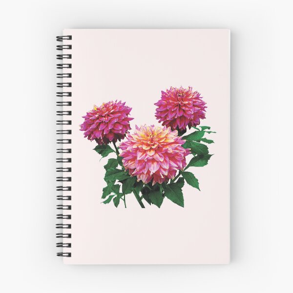 Item preview, Pink Dahlias Kidds Climax designed and sold by Susan Savad.
