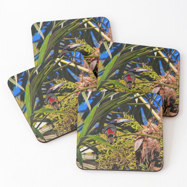 Item preview, Guatemala. Tikal National Park. Toucanet. designed and sold by vadim19.
