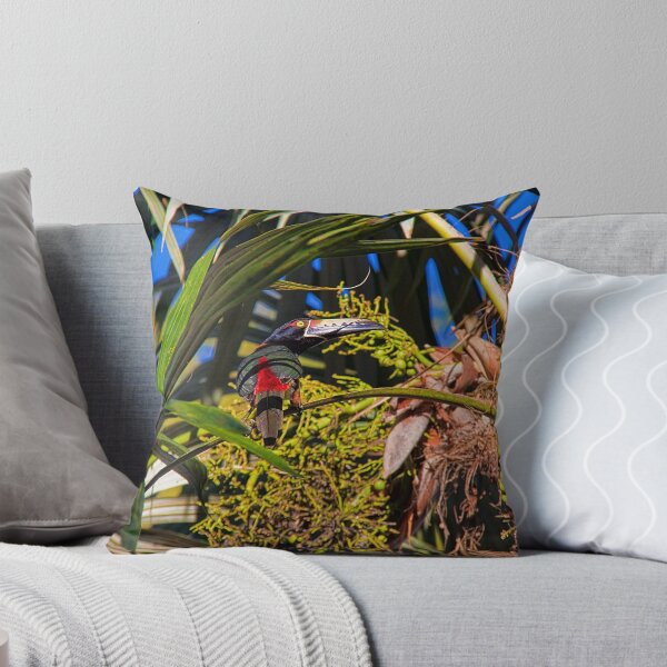 Item preview, Guatemala. Tikal National Park. Toucanet. designed and sold by vadim19.